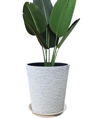 Amazon.co.jp: !はなかっぱ鉢ももかっぱ鉢セット コンポート